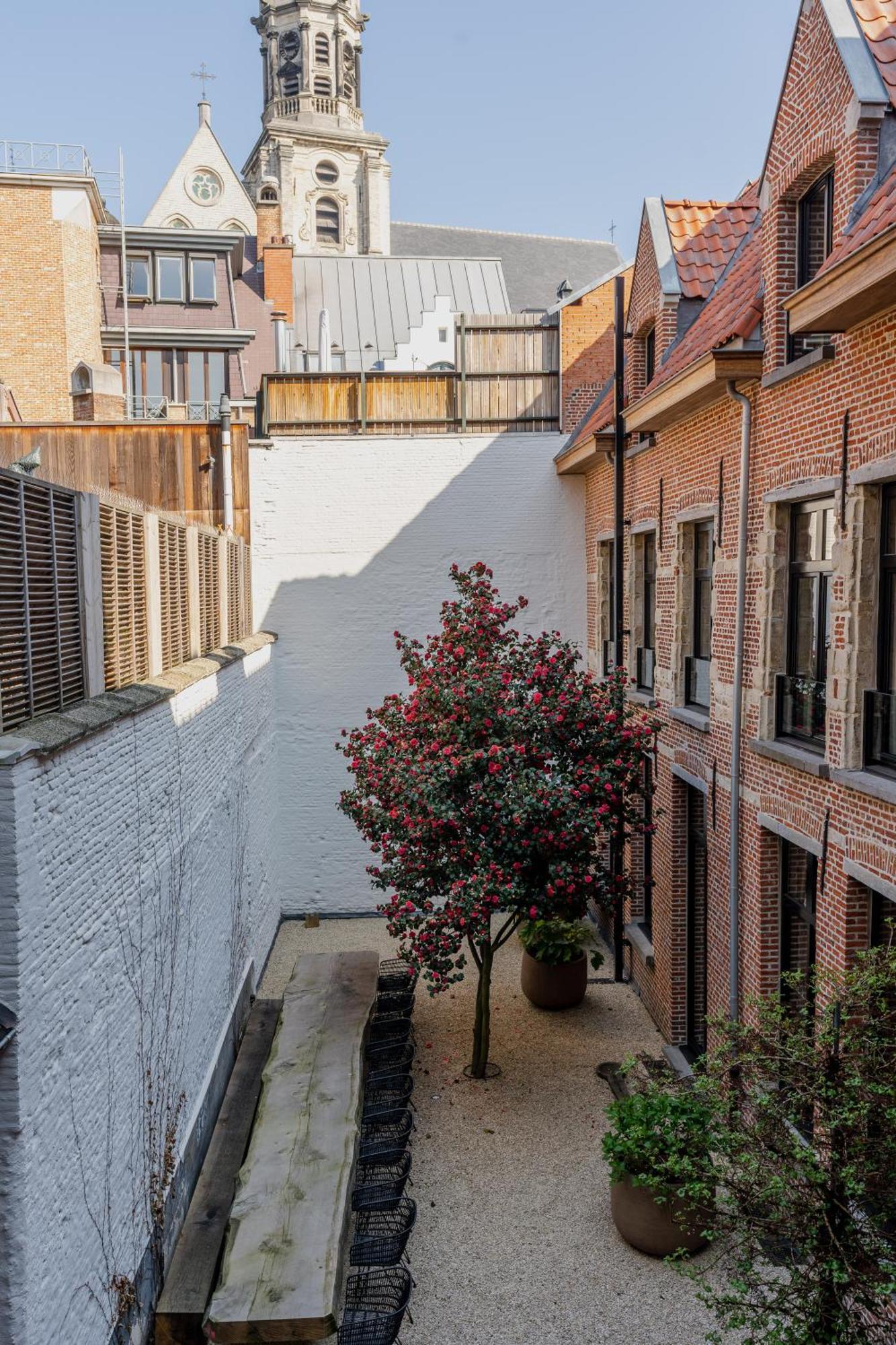 Apartmán Btfl Living Antverpy Exteriér fotografie