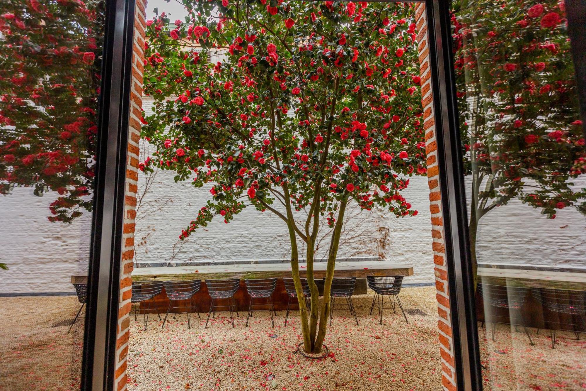 Apartmán Btfl Living Antverpy Exteriér fotografie